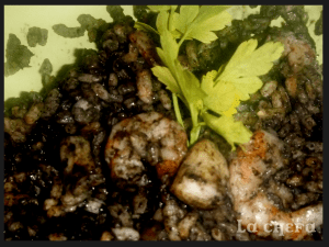 ARROZ NEGRO2