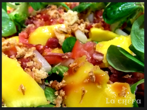 ENSALADA DE MANGO Y JAMÓN CON VINAGRE DE FRAMBUESA2