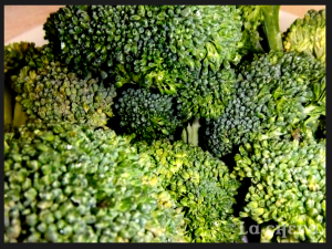 PROPIEDADES BRÓCOLI2
