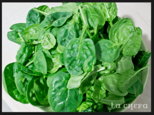 PROPIEDADES ESPINACAS